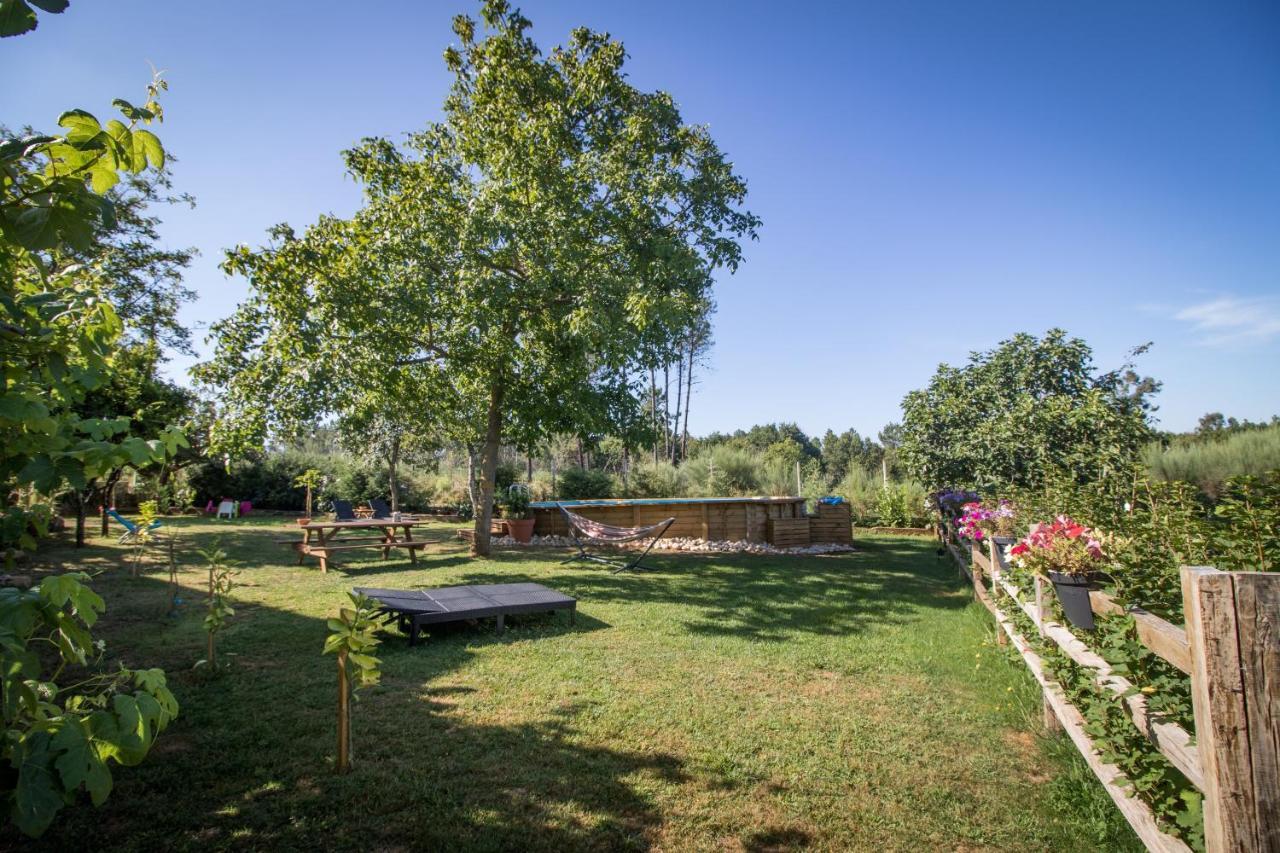 Apartament Quinta Vale Salgueiro Seia Zewnętrze zdjęcie