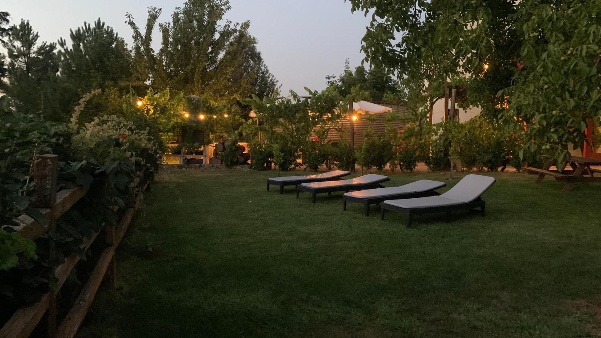 Apartament Quinta Vale Salgueiro Seia Zewnętrze zdjęcie